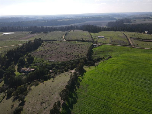 Imagen 7 de 8 de Agrícola En Venta En Santo Domingo