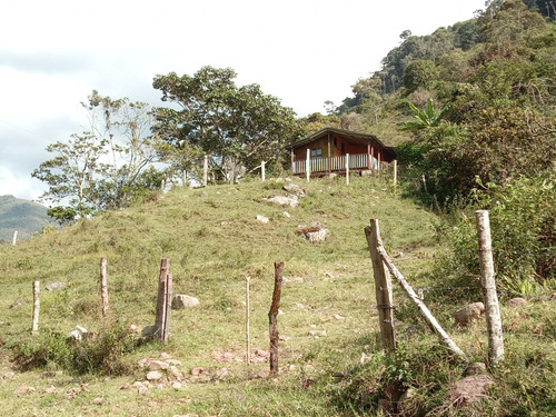 Vendo Finca De 50 Ha, Con Tres Nacimientos Permanentes Agua