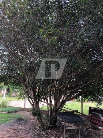 Imagem 13 de 27 de Chácar Em Ártemis - Ch00127 - 69579057
