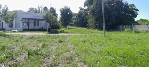 Venta Terreno 1250 M2 Barrio Parque Avambae