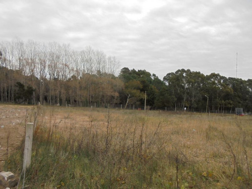 Terreno En Venta En San Bernardo
