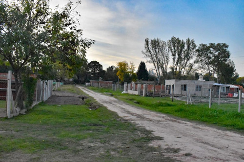Imagen 4 de 5 de Terreno - Manuel Alberti