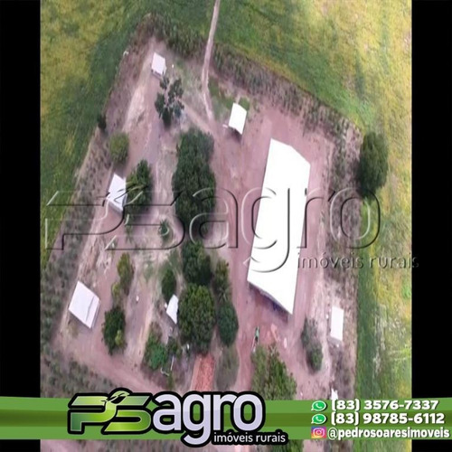 Imagem 7 de 11 de Fazenda À Venda, 1311 Hectares Por R$ 70.000/alqueire - Zona Rural - Peixes/to - Fa0101