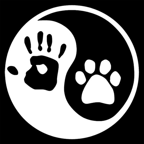 Adesivo De Parede 100x100cm - Yin Yang Cachorro Pets