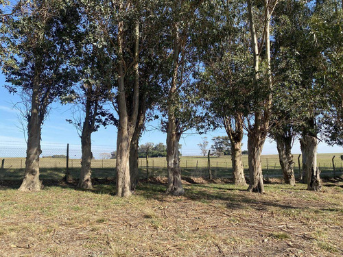 Imagen 8 de 14 de En Venta Lote, Barrancas De San Benito, Chapadmalal.