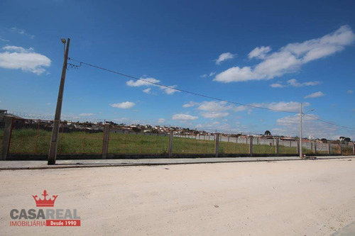 Imagem 3 de 22 de Terreno Industrial À Venda, Novo Mundo, Curitiba - Te0029. - Te0029
