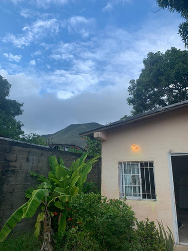 Imagen 7 de 14 de Oportunidad Venta Casa Con Potencial Para Sembrar En Patio