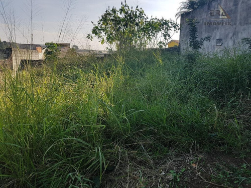 Imagem 3 de 11 de Terreno Plano Para Venda E Locação, Nova Arujá, Arujá - Te0248. - Te0248