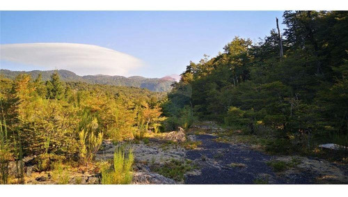 Pucon Parcela En Sector Cerduo - Oportunidad