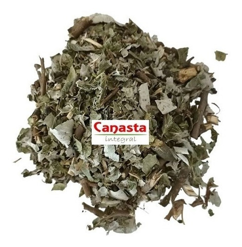 1 Kg Té Abedul Blanco Orgánico 100% Original