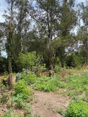 Imagen 4 de 6 de En Venta 3 Lotes En El Paseo De La Ribera Del Rio Quequén - Necochea. Gran Oportunidad Para Inversores!