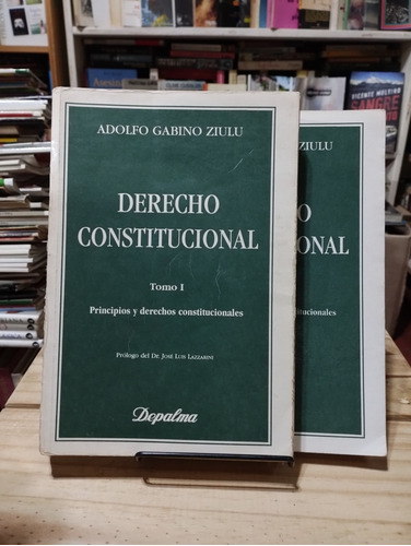 Derecho Constitucional 1 Y 2 - Adolfo Gabino Ziulu