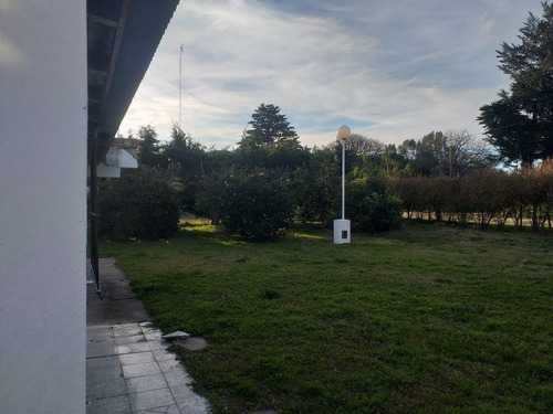 Imagen 15 de 30 de Quinta 2.500 M2 Gran Piscina C/2 Chalets Galpon Instal. Pque Frutales Quinchos Gge 3 Gimnasio