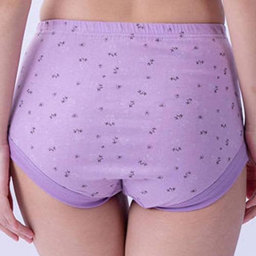 Ropa Interior Para Mujeres De Mediana Edad Y Personas Mayore