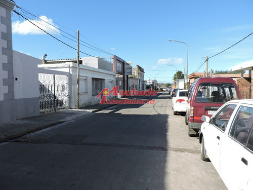 Imagen 3 de 16 de Local En Aquiler En Maldonado