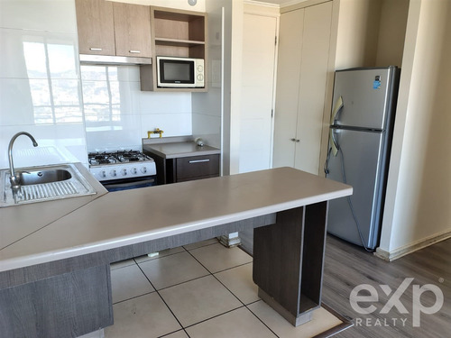 Departamento En Arriendo De 2 Dorm. En Viña Del Mar