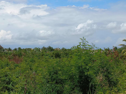 Venta De Terrenos En Las Américas De 48,766mts A Rd3000