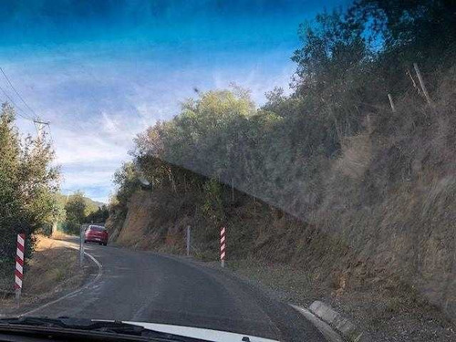 Imagen 26 de 30 de Parcela 12 Hectareas Con Derechos De Agua Olmue Las Palmas