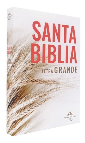 Santa Biblia Letra Grande Rvr1960 Cubierta Rustica