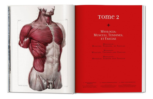 Atlas Of Human Anatomy And Surgery - Por J. M. Bourgery - Anatomia - Livro Importado Edição Grande - Inglês Francês - Editora Taschen - Capa Dura - 1a Edição
