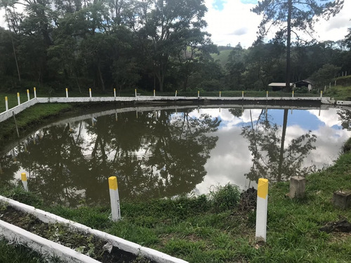 Imagem 14 de 16 de C51mega Oportunidade!!! Vendo Terreno De 1.000 M2 Próximo A