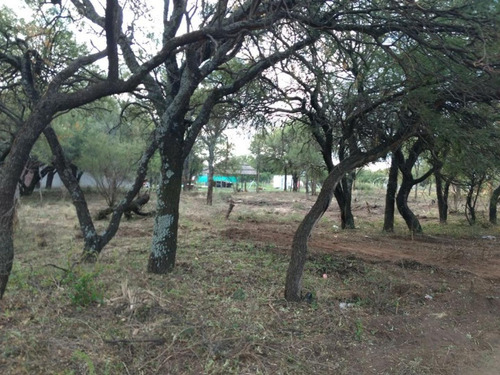 Imagen 5 de 8 de Gran Lote De 1500 Mts Con Forestacion Autoctona!!
