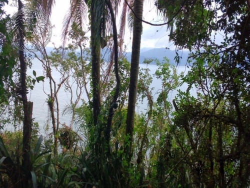 Imagem 8 de 15 de Terreno - Ribeirao Da Ilha - Ref: 1483 - V-1520