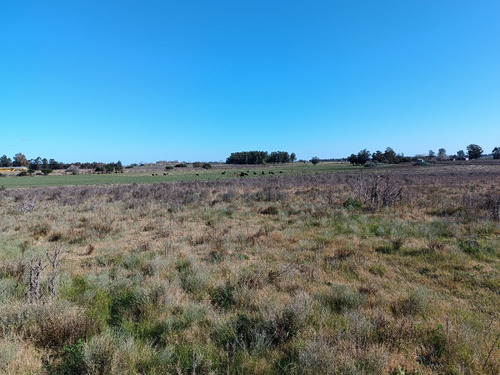 Vendo Muy Lindo Campo Con 2 Tajamares Para Riego, Alambrado, Pozos, Cañada, Monte, Financio Consulte