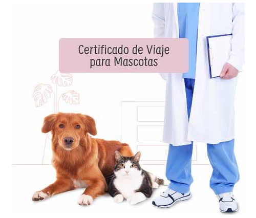 Certificado De Viaje Para Mascotas Somos Veterinarios