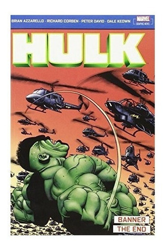 Incredible Hulk: Banner &amp; The End : Peter David 