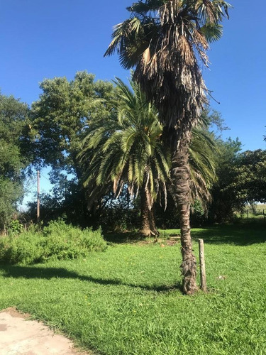 Imagen 8 de 30 de Campo De 173 Hectáreas - Gral. Las Heras - Buenos Aires