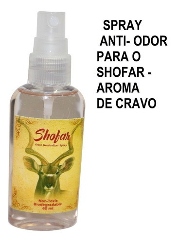 Imagem 6 de 8 de Shofar De Chifre Antilope + Capa + Brindes - De Israel #j3