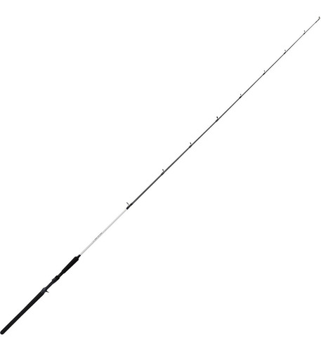 Vara Saint Plus Pro Fishing 601-bc 15-30lb 1,83m-carretilha