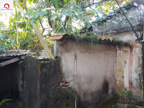 Imagem 6 de 7 de Terreno Com Documentação Regularizada À Venda - Em Ótima Localidade No Bairro Santa Rosa - Te00019 - 69839962