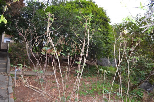 Imagem 5 de 14 de Terreno Para Venda, 1030.7163 M2, Pirituba - São Paulo - 2613