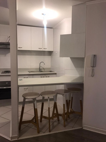 Arriendo Departamento 1d+1b Con Hermosa Vista