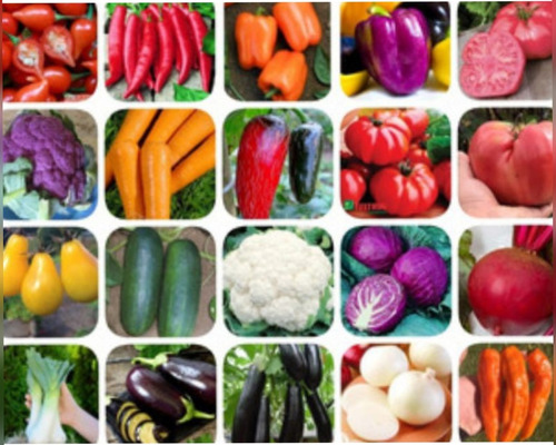 Kit Especial 4.000 Sementes 20 Espécies Verduras Hortaliças
