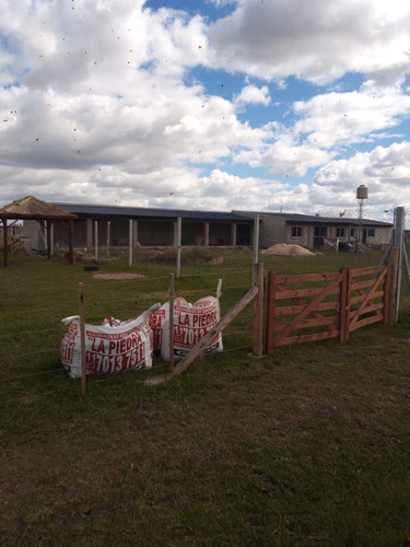 Imagen 18 de 21 de Terreno En Venta En Domselaar
