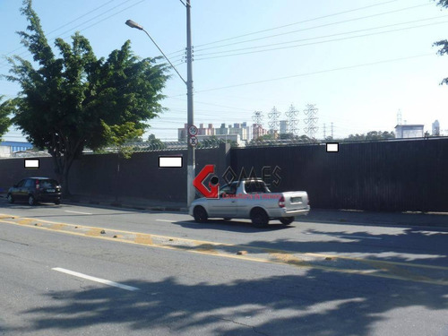 Imagem 5 de 14 de Terreno Para Alugar, 4400 M² Por R$ 27.000,00/mês - Vila Vivaldi - São Bernardo Do Campo/sp - Te0190