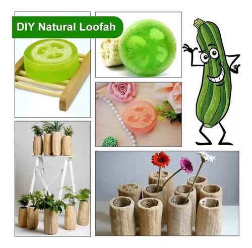 A Esponja De Lufa Natural Para La Limpieza Y El Baño.