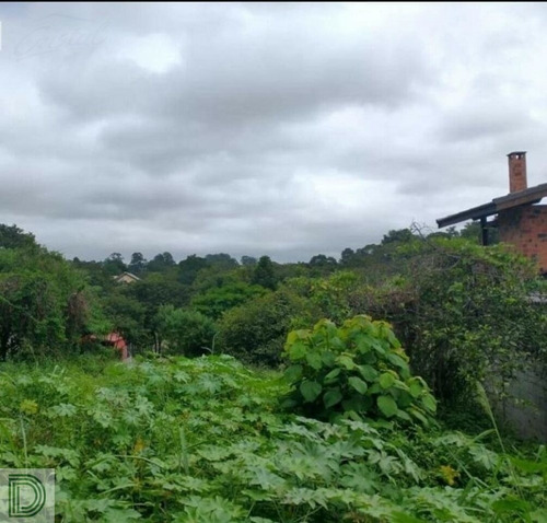 Imagem 6 de 9 de Terreno Em Condomínio Na Granja Vianna - Di29286