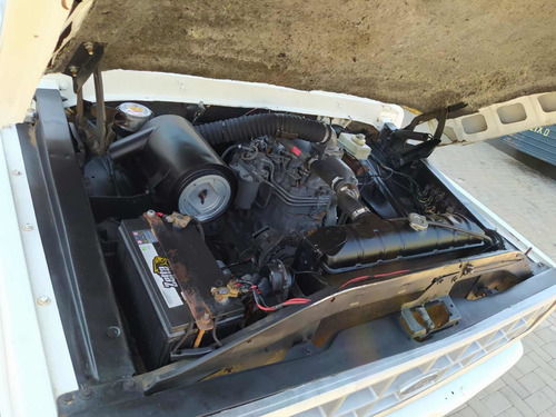 Ford F-1000 Mwm 229