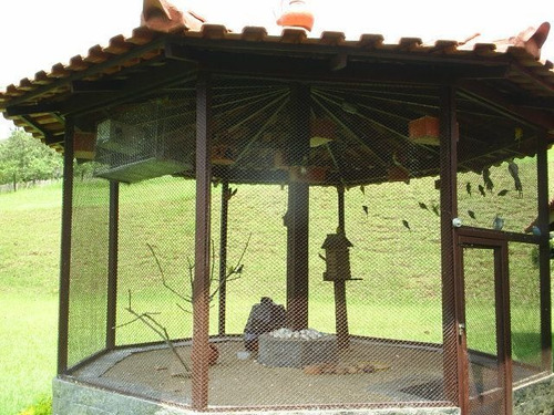 Fazenda À Venda Na Estrada De Sambaetiba, Centro (sambaetiba), Itaboraí - Rj - Liv-11669