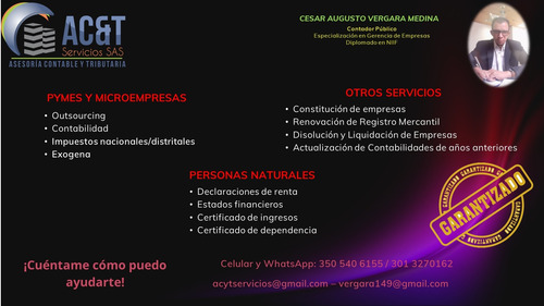 Imagen 7 de 8 de Declaración Renta, Contador Público , Certificados De Ingres