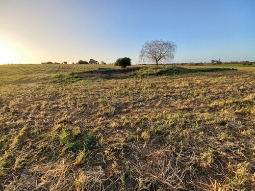 Ref 1012) ** V - Campos - Muy Linda Chacra De 3 Hectáreas Para La Venta A Pocos Minutos De San José