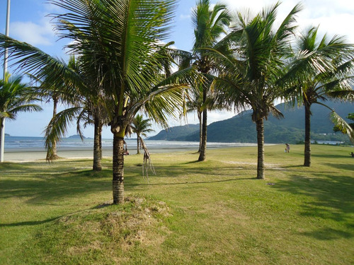 Imagem 6 de 8 de Terreno Bairro Convento Velho A Venda Na Praia De Peruíbe