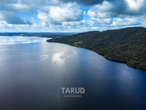Increíbles Parcelas A 1 Min. De Lago Huillinco, Chiloé