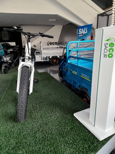 Imagen 2 de 16 de Bicicleta Electrica Sunra Ray Hs / 50km Autonomia