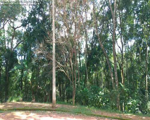 Imagem 4 de 6 de Terreno - Te00150 - 69379256