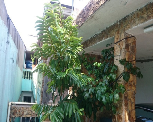 Imagem 4 de 14 de Casa Na Cidade Patriarca - Cs0003917 - 33373616